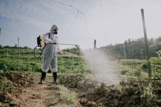 Reliable Elverson, PA Pest Control Solutions