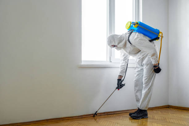 Best Pest Prevention Services  in Elverson, PA